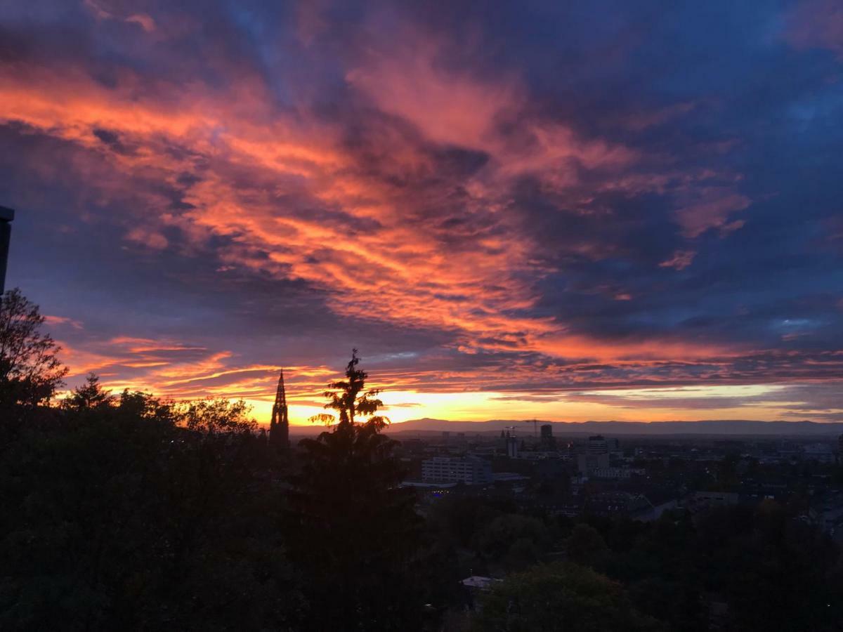 Ferienwohnung-Freiburg-Exklusiv Exteriér fotografie